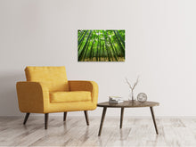 Lade das Bild in den Galerie-Viewer, Leinwandbild Der Bambuswald
