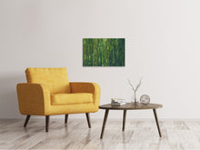 Lade das Bild in den Galerie-Viewer, Leinwandbild Mitten im Bambus
