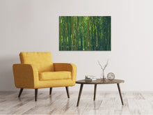 Lade das Bild in den Galerie-Viewer, Leinwandbild Mitten im Bambus
