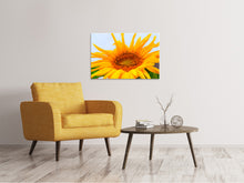 Lade das Bild in den Galerie-Viewer, Leinwandbild Grosse Sonnenblume
