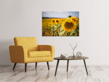 Lade das Bild in den Galerie-Viewer, Leinwandbild Eine Sonnenblume im Feld
