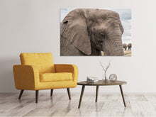 Lade das Bild in den Galerie-Viewer, Leinwandbild XL Elefant
