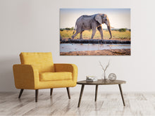 Lade das Bild in den Galerie-Viewer, Leinwandbild Elefant in der Natur
