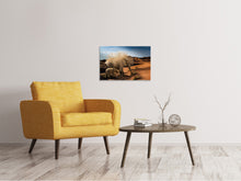 Lade das Bild in den Galerie-Viewer, Leinwandbild Elefanten in der Wüste
