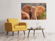 Lade das Bild in den Galerie-Viewer, Leinwandbild Elefanten Ohren
