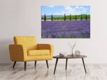 Lade das Bild in den Galerie-Viewer, Leinwandbild Prächtiges Lavendelfeld
