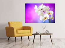 Lade das Bild in den Galerie-Viewer, Leinwandbild Flower Power Orchidee
