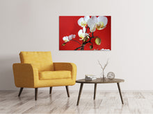 Lade das Bild in den Galerie-Viewer, Leinwandbild Weisse Orchideen auf roter Wand
