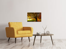 Lade das Bild in den Galerie-Viewer, Leinwandbild Bäume im Herbst
