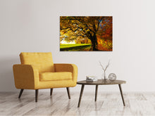 Lade das Bild in den Galerie-Viewer, Leinwandbild Bäume im Herbst
