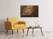 Lade das Bild in den Galerie-Viewer, Leinwandbild Sonnenstrahlen im Wald
