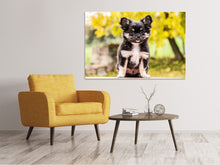 Lade das Bild in den Galerie-Viewer, Leinwandbild Niedliche Chihuahua Welpe
