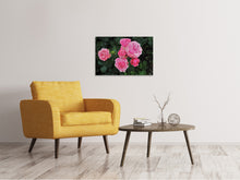 Lade das Bild in den Galerie-Viewer, Leinwandbild Die wilden Rosen in pink
