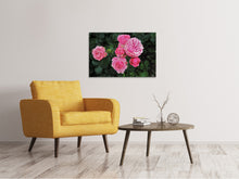 Lade das Bild in den Galerie-Viewer, Leinwandbild Die wilden Rosen in pink
