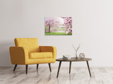 Lade das Bild in den Galerie-Viewer, Leinwandbild Schöne Magnolien
