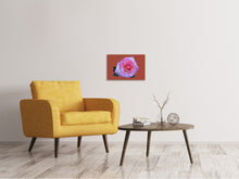 Lade das Bild in den Galerie-Viewer, Leinwandbild Rose in pink XXL
