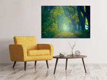 Lade das Bild in den Galerie-Viewer, Leinwandbild Grüner Wald
