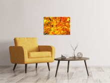 Lade das Bild in den Galerie-Viewer, Leinwandbild Herbst Blätter
