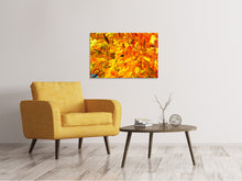 Lade das Bild in den Galerie-Viewer, Leinwandbild Herbst Blätter

