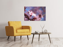 Lade das Bild in den Galerie-Viewer, Leinwandbild Close up Kirschblüte
