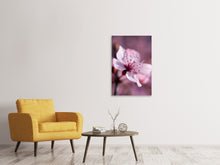 Lade das Bild in den Galerie-Viewer, Leinwandbild Entzückende Kirschblüte
