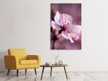 Lade das Bild in den Galerie-Viewer, Leinwandbild Entzückende Kirschblüte
