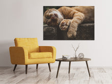 Lade das Bild in den Galerie-Viewer, Leinwandbild Schlafende Katze
