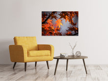 Lade das Bild in den Galerie-Viewer, Leinwandbild Ahorn Blätter im Herbst
