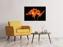 Lade das Bild in den Galerie-Viewer, Leinwandbild Eine Lilien Blüte in orange
