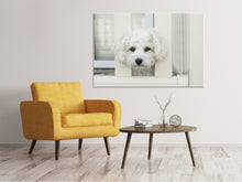 Lade das Bild in den Galerie-Viewer, Leinwandbild Ein Hundemädchen zum Verlieben
