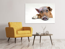 Lade das Bild in den Galerie-Viewer, Leinwandbild Der lustige Schweine Hund
