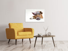 Lade das Bild in den Galerie-Viewer, Leinwandbild Der lustige Schweine Hund
