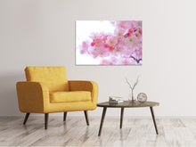 Lade das Bild in den Galerie-Viewer, Leinwandbild Japanische Kirschblüte XL
