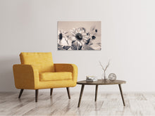 Lade das Bild in den Galerie-Viewer, Leinwandbild Sonnenblumen sw
