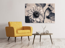 Lade das Bild in den Galerie-Viewer, Leinwandbild Bienen auf der Sonnenblume sw
