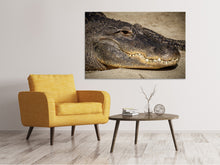 Lade das Bild in den Galerie-Viewer, Leinwandbild Achtung Alligator !
