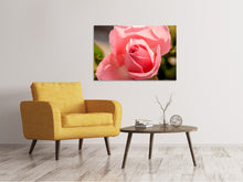 Lade das Bild in den Galerie-Viewer, Leinwandbild Die Rose in rosa
