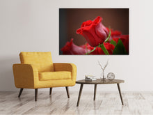 Lade das Bild in den Galerie-Viewer, Leinwandbild Rote Rose in XL
