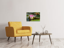 Lade das Bild in den Galerie-Viewer, Leinwandbild XL Seerose in rosa
