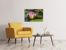 Lade das Bild in den Galerie-Viewer, Leinwandbild XL Seerose in rosa
