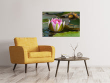 Lade das Bild in den Galerie-Viewer, Leinwandbild XL Seerose in rosa
