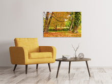 Lade das Bild in den Galerie-Viewer, Leinwandbild Mitten unter Herbstbäumen
