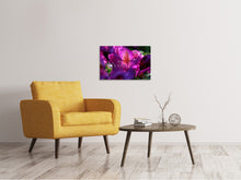 Lade das Bild in den Galerie-Viewer, Leinwandbild Der Rhododendron
