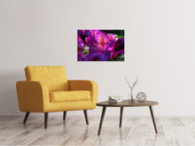 Lade das Bild in den Galerie-Viewer, Leinwandbild Der Rhododendron

