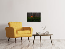Lade das Bild in den Galerie-Viewer, Leinwandbild Ein Pilz im Wald
