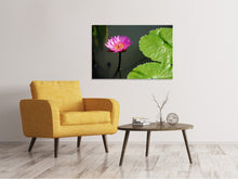 Lade das Bild in den Galerie-Viewer, Leinwandbild Lotus Blüte in pink
