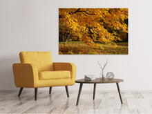 Lade das Bild in den Galerie-Viewer, Leinwandbild Der prächtige Herbstbaum
