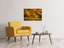 Lade das Bild in den Galerie-Viewer, Leinwandbild Der prächtige Herbstbaum
