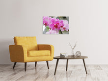 Lade das Bild in den Galerie-Viewer, Leinwandbild Lila Orchideen in der Blüte
