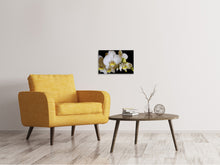 Lade das Bild in den Galerie-Viewer, Leinwandbild Weisse Orchideen in der Blüte
